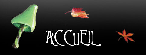 Accueil